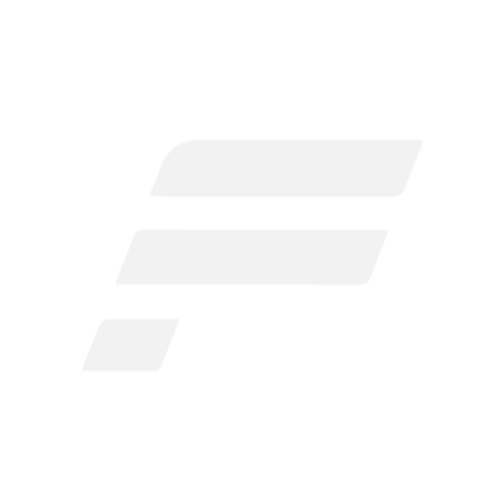 Logo Fanatec